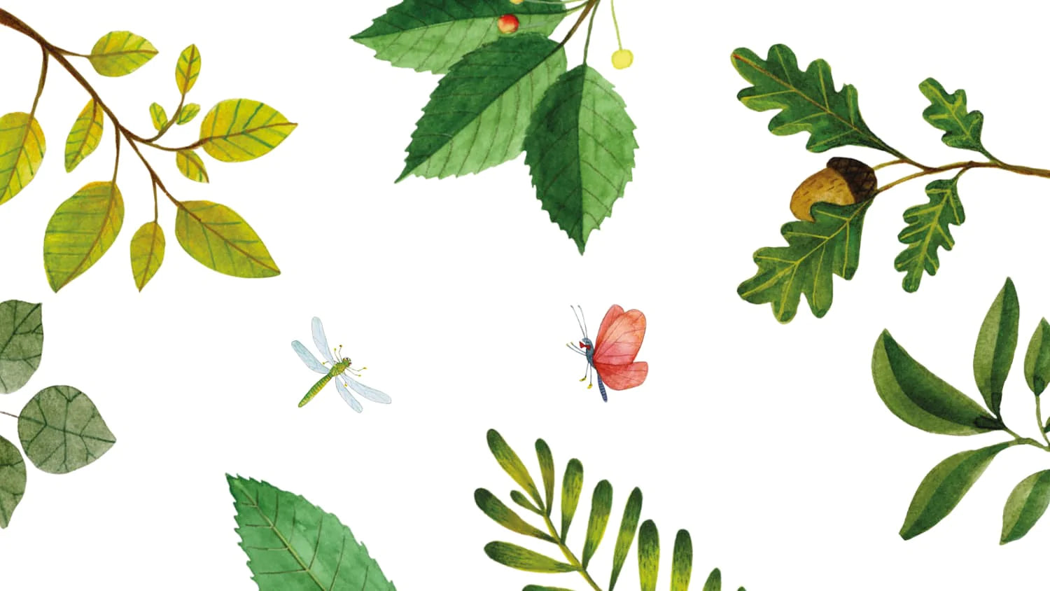 Novità PIPI & PUPU and friends