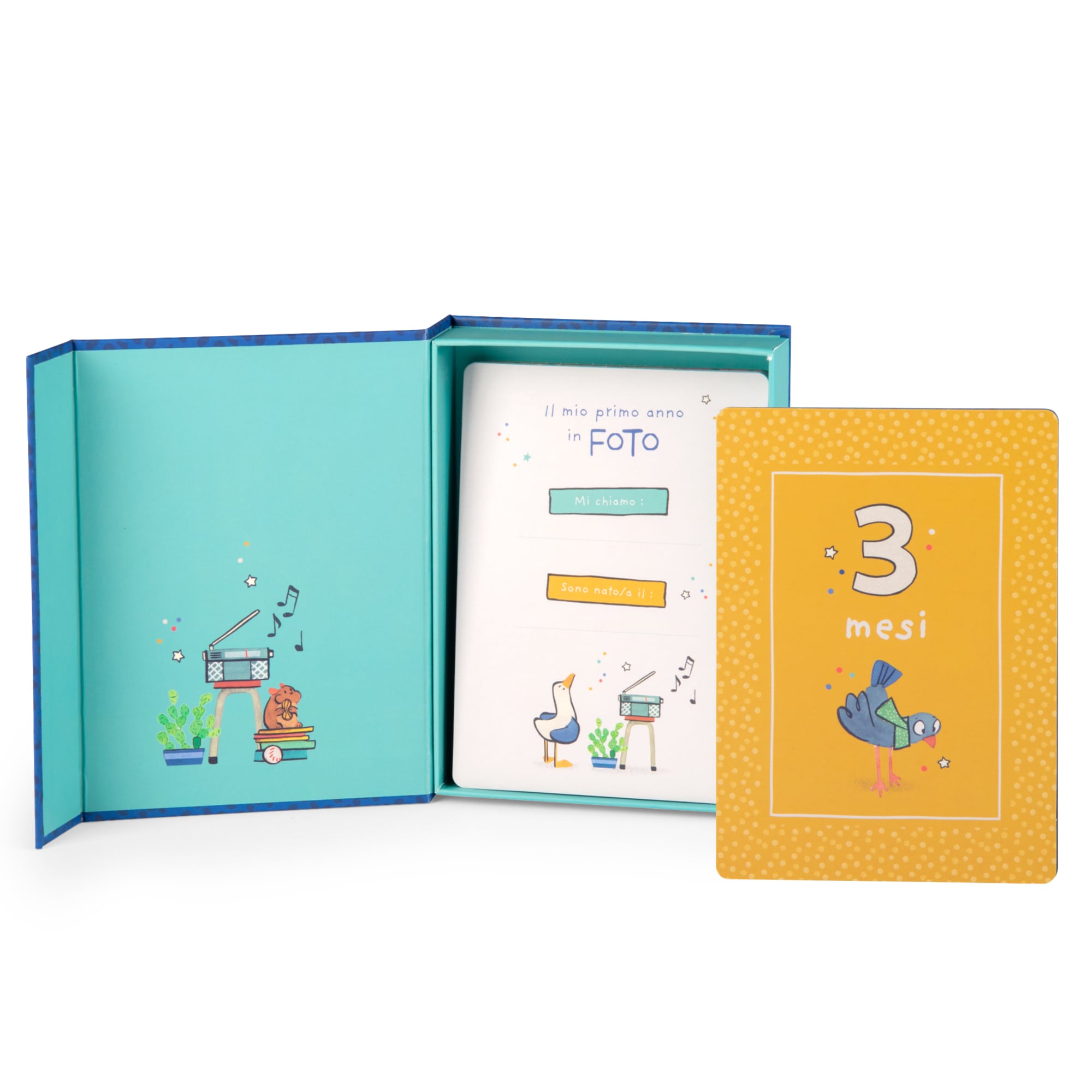My First 12 Months, 30 Birth Photo Cards Italian, Puce and Pilou