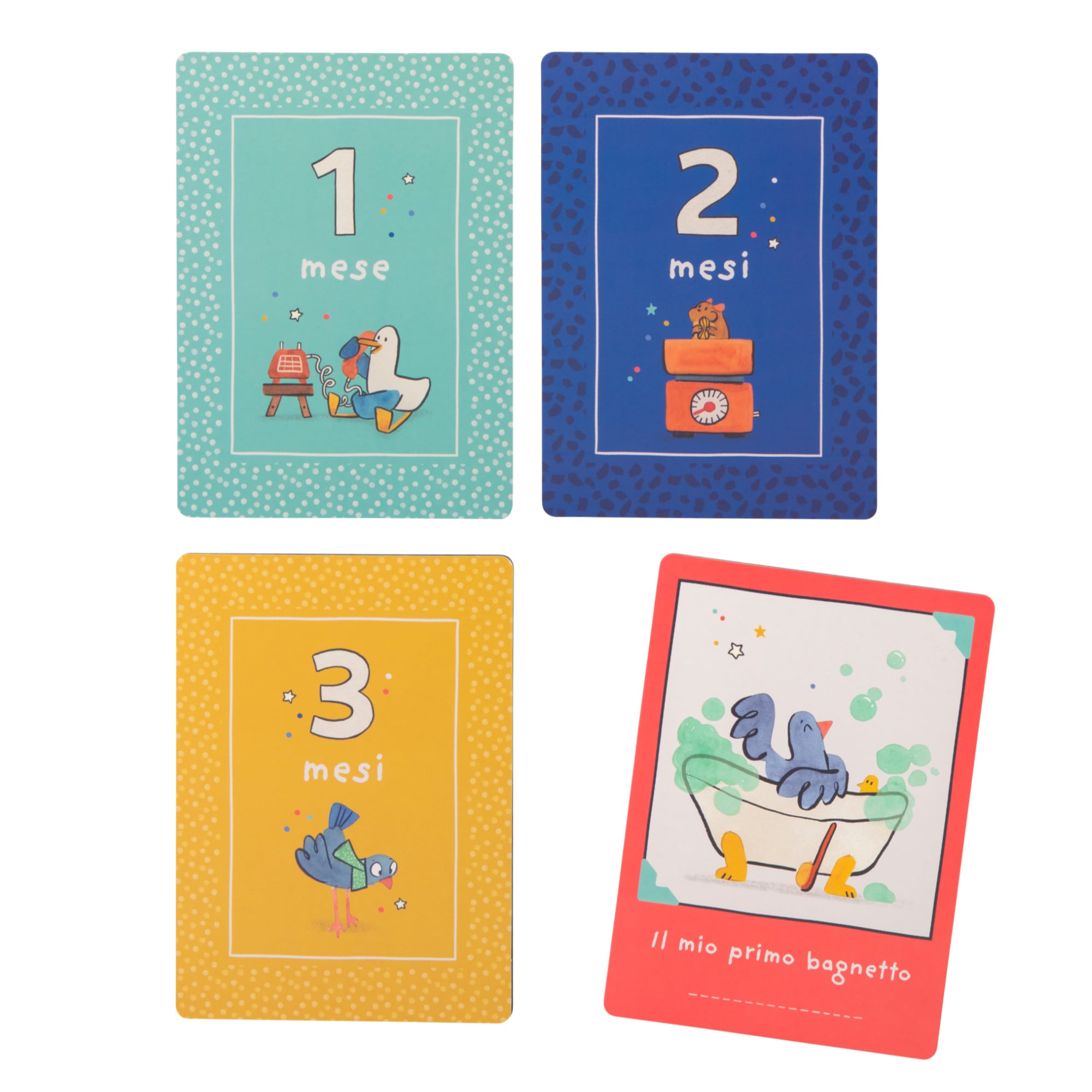 My First 12 Months, 30 Birth Photo Cards Italian, Puce and Pilou