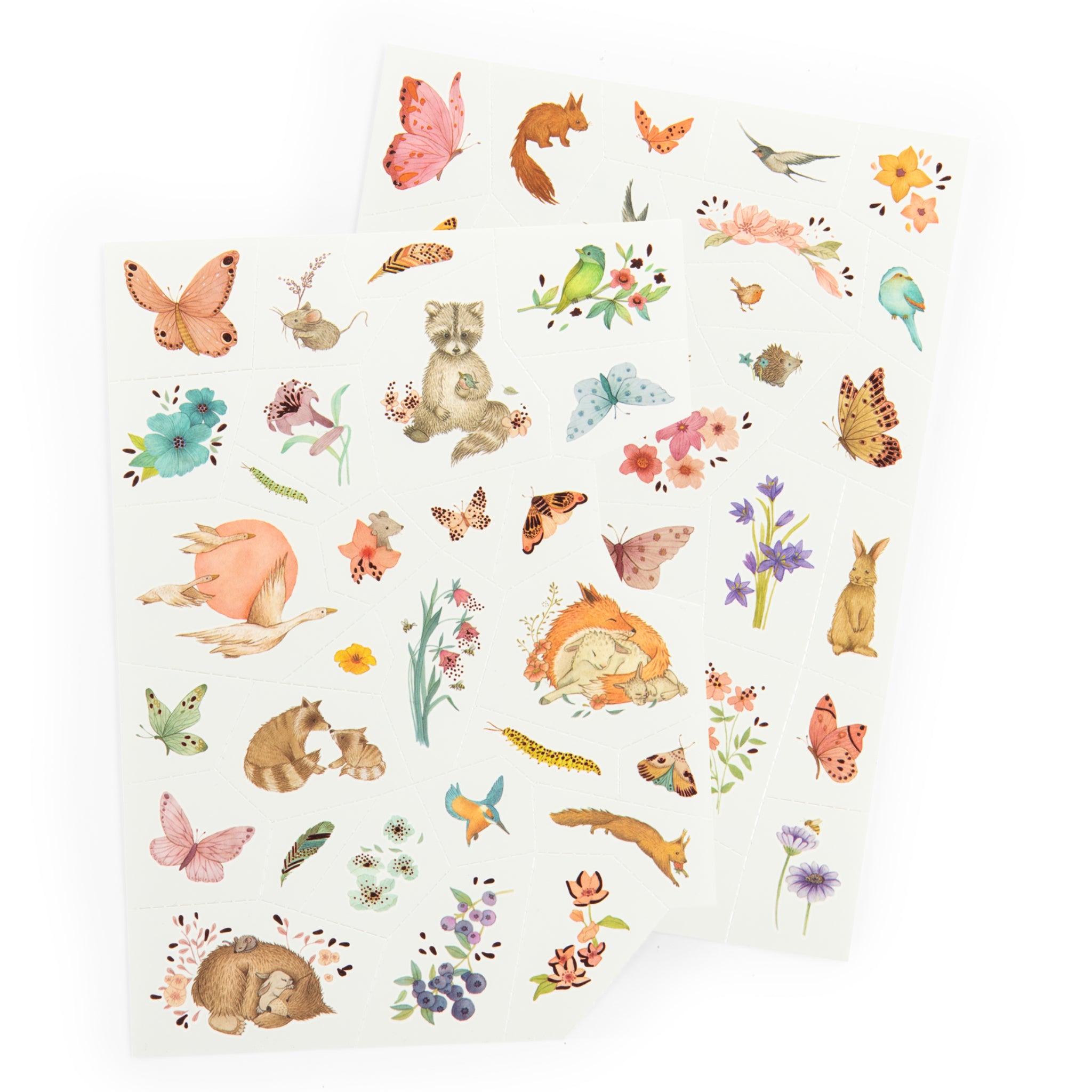 Temporary Tattoos, Rosalies