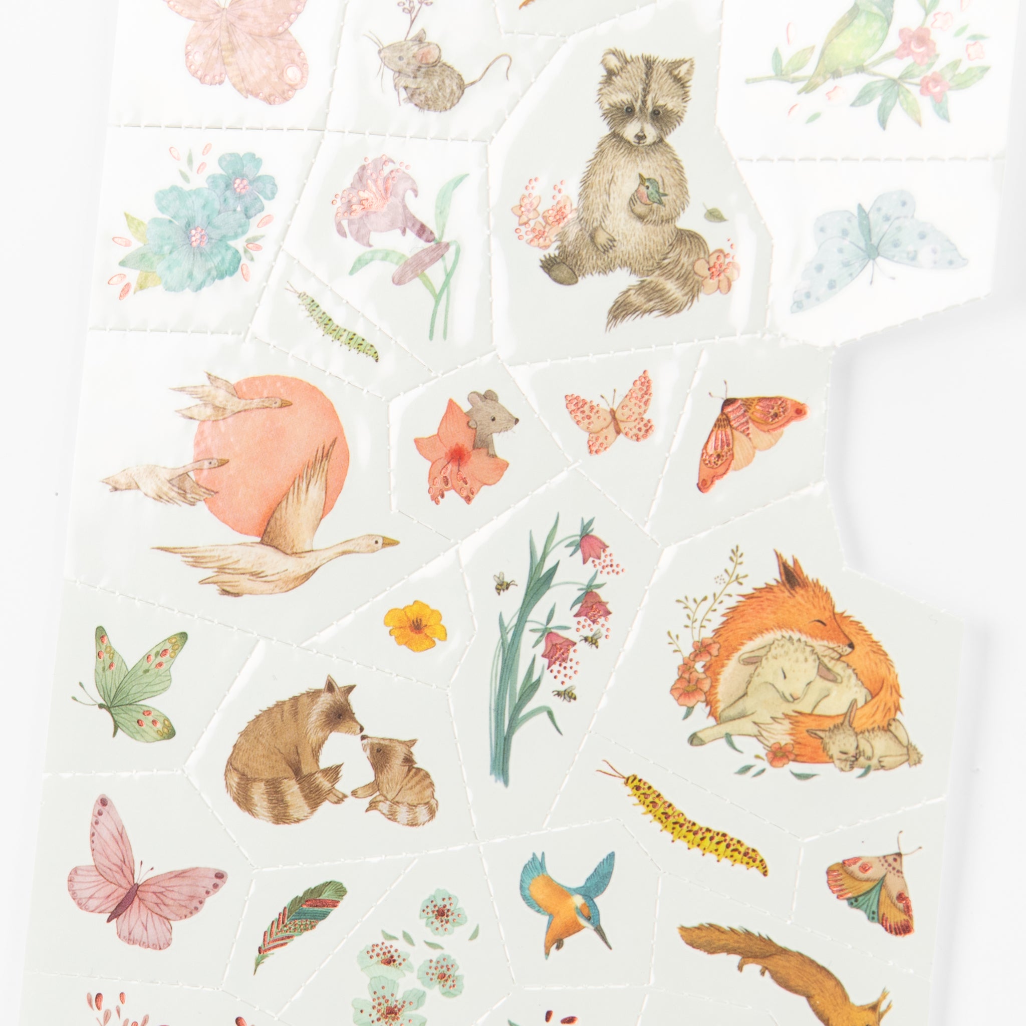 Temporary Tattoos, Rosalies