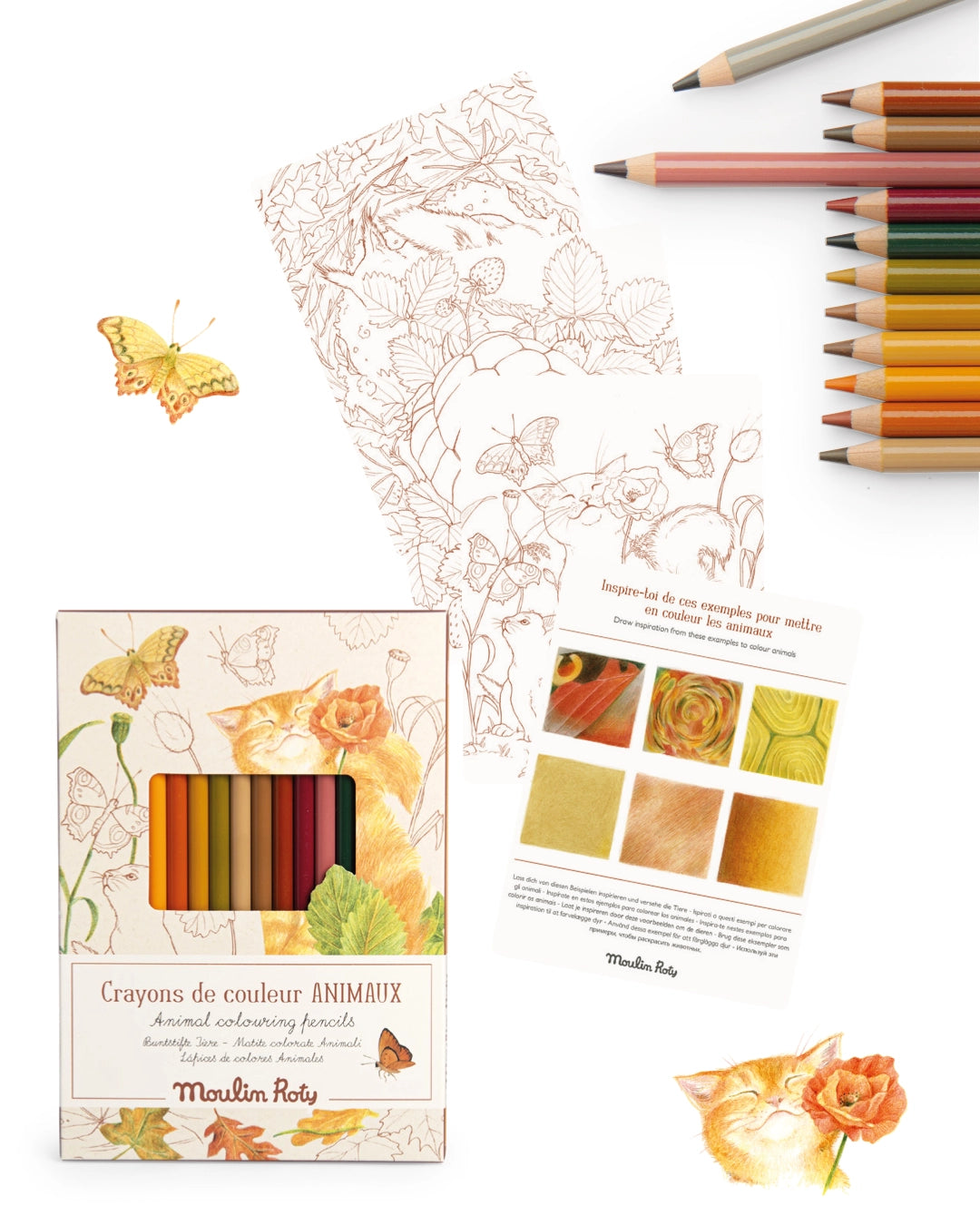 Colored pencils + papers, Animals