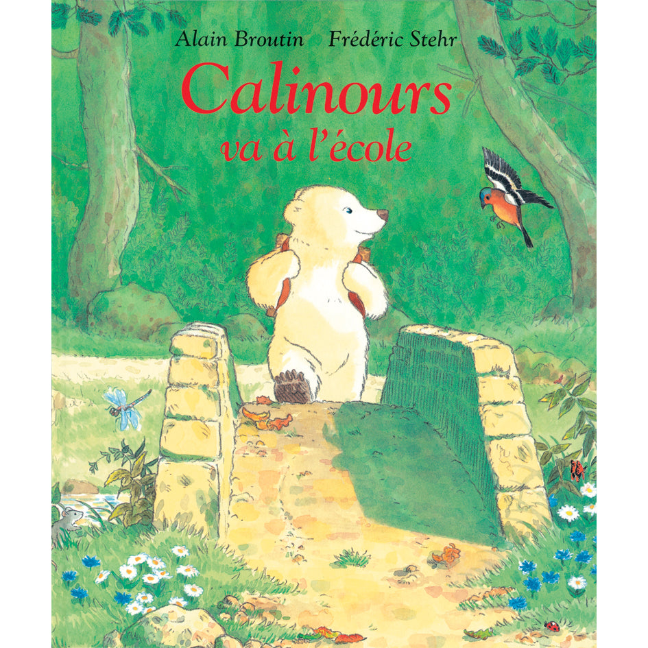 Libro Calinours va à l'école de Stehr - FRA