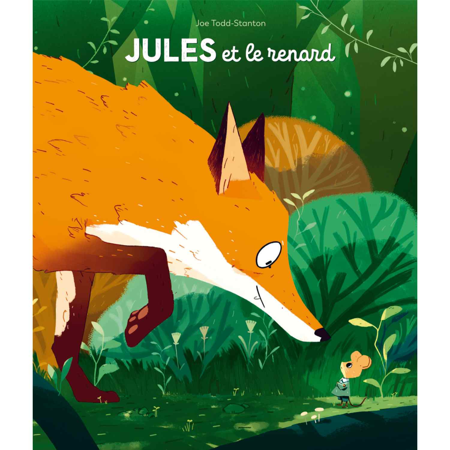 Book Jules et le renard de Todd Stanton et Isabelle Reinharez - FRA