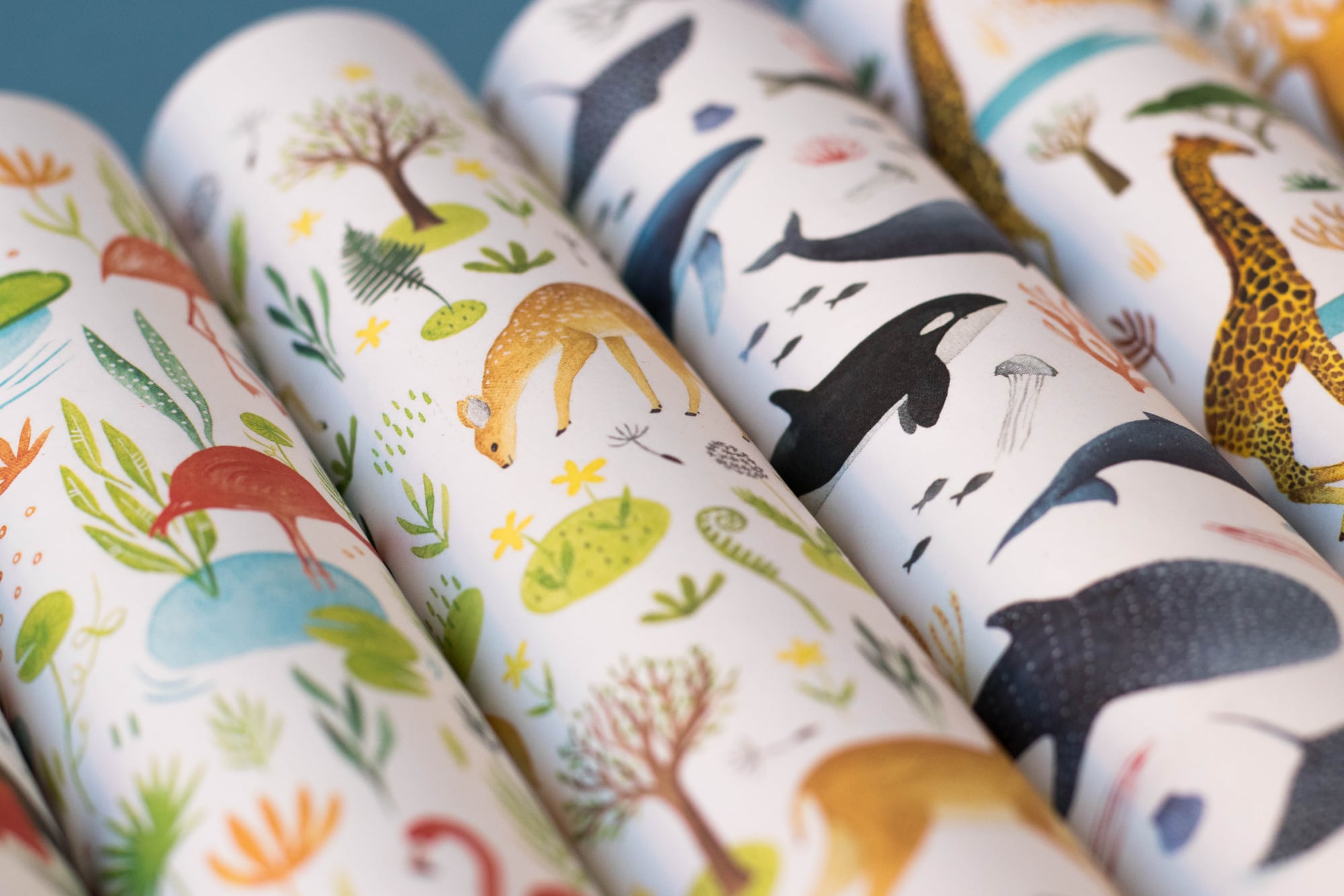 Kaleidoscope, Wildlife Mix