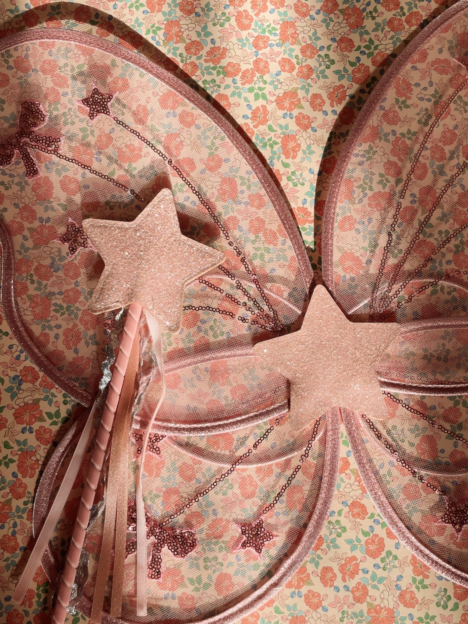 Fairy wings and magic wand