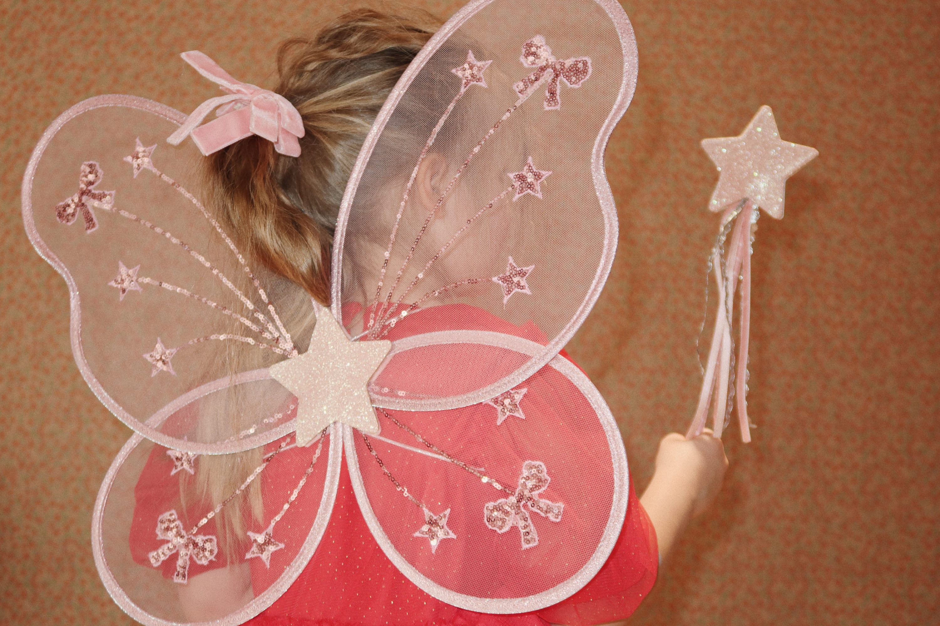 Fairy wings and magic wand