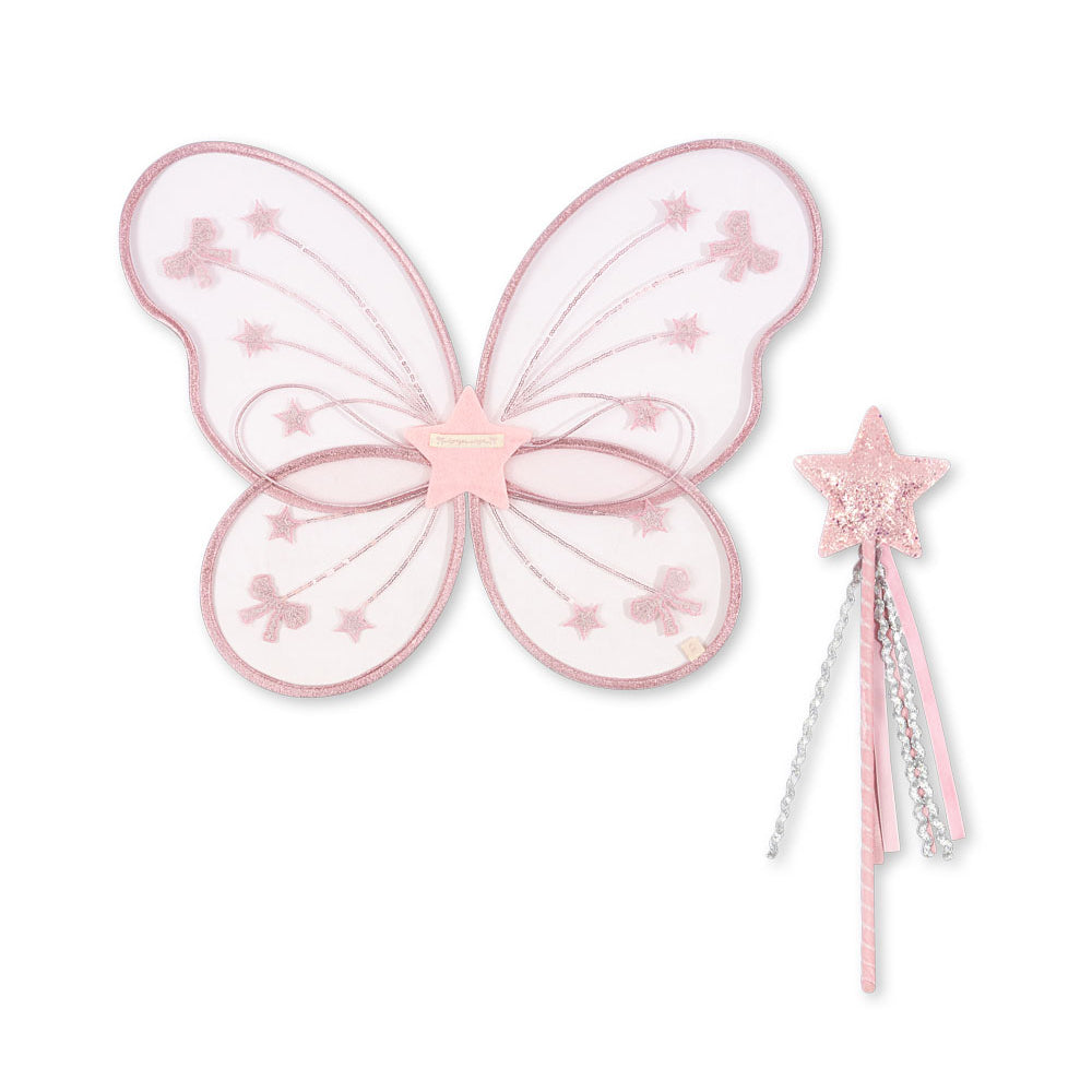 Fairy wings and magic wand