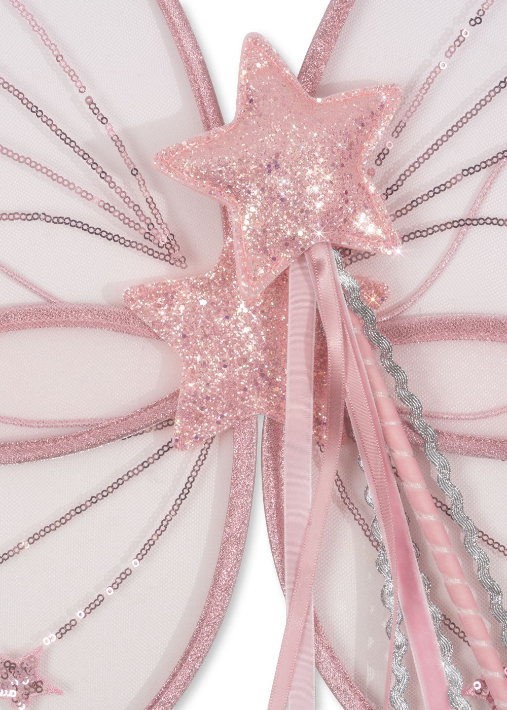 Fairy wings and magic wand