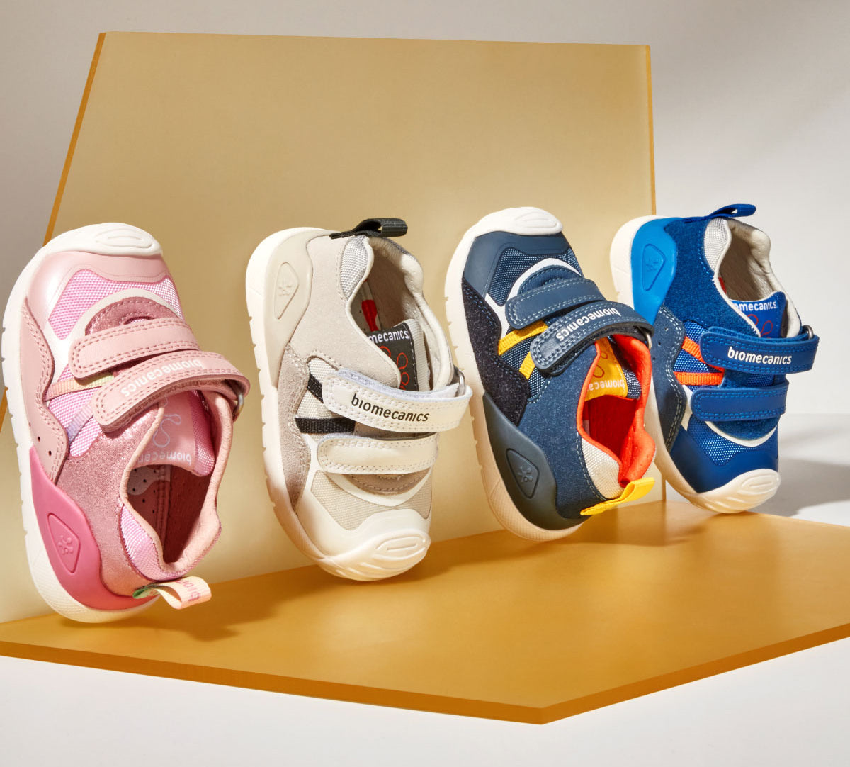 Primi passi comodi con Biogateo di Biomecanics