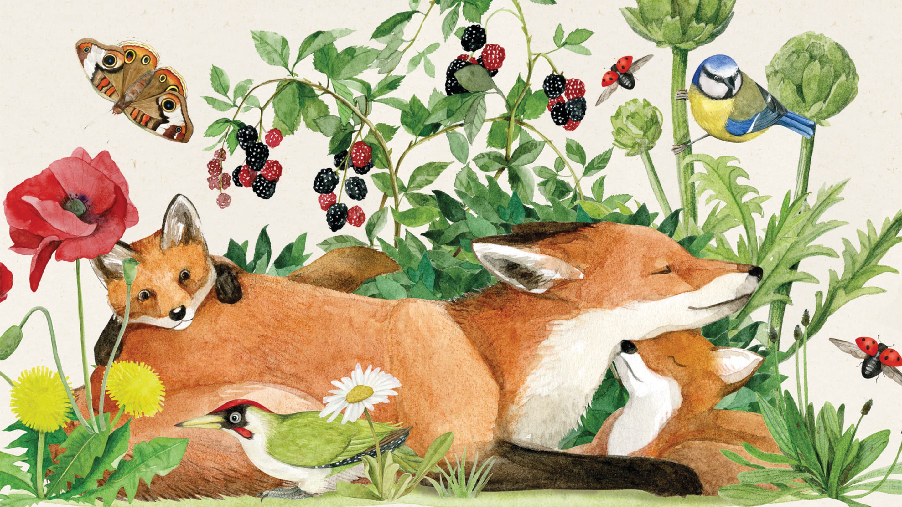 Coperta volpe nel giardino di Moulin Roty Giochi per bambini