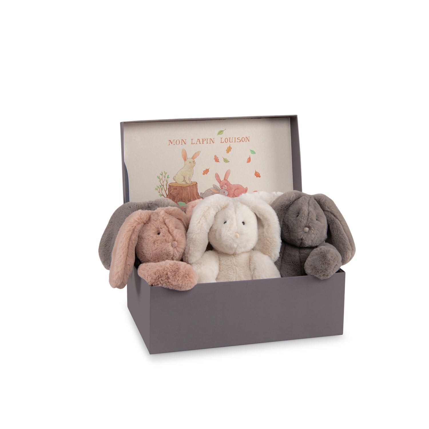Moulin Roty | Peluche coniglio grigio, Arthur et Louison