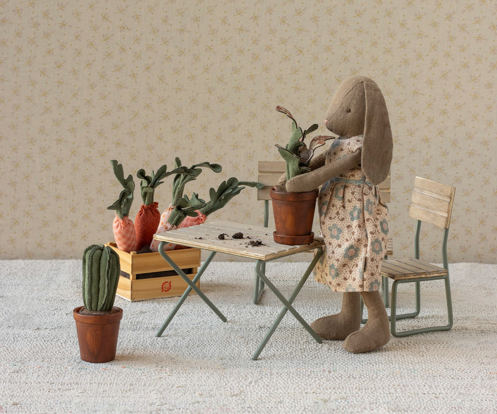 Vaso con cactus in miniatura