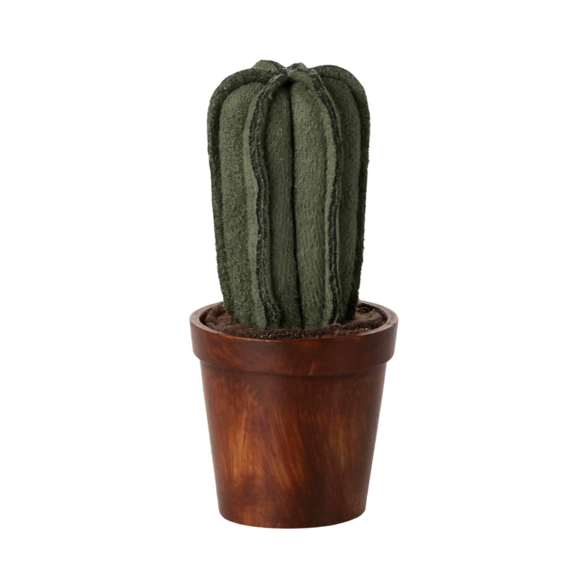 Vaso con cactus in miniatura
