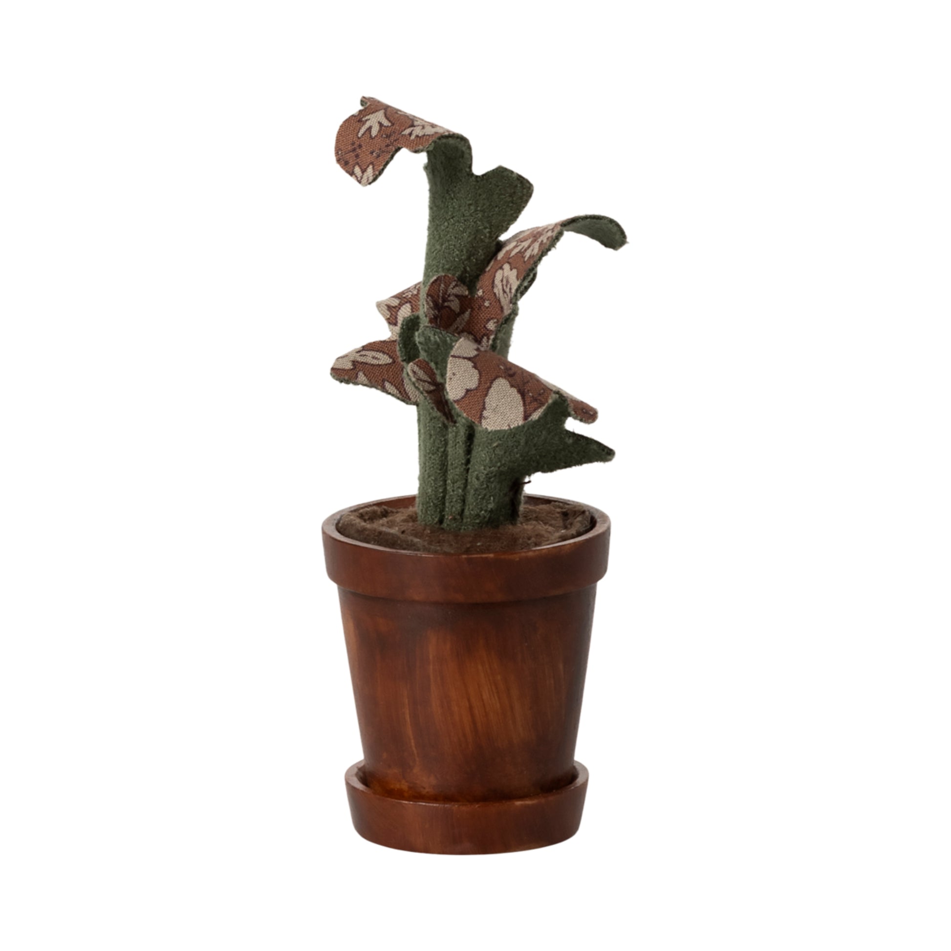 Vaso di fiori con pianta in miniatura