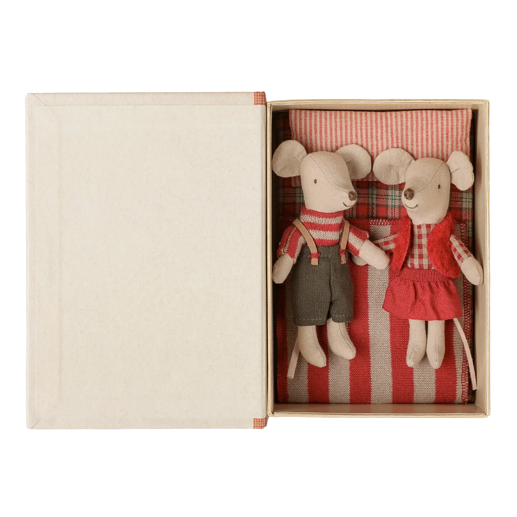 Topi gemelli natalizi, Sorellina e fratellino nel libro