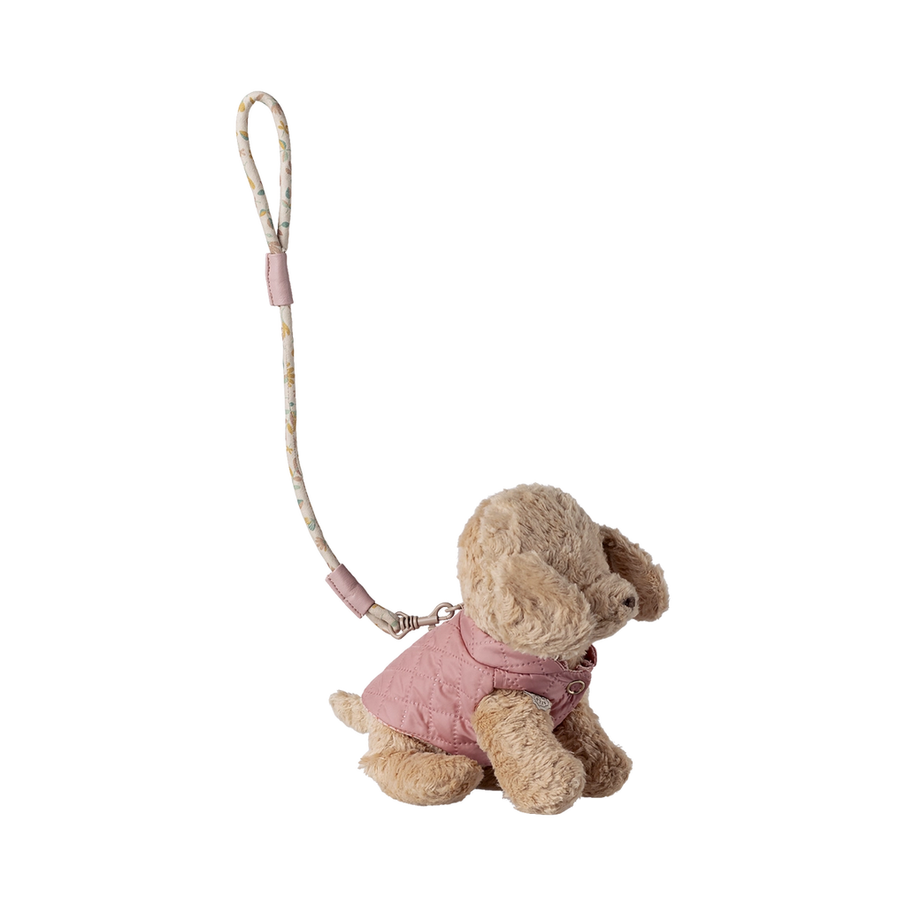 Pet supply, Harness and leash - Rose