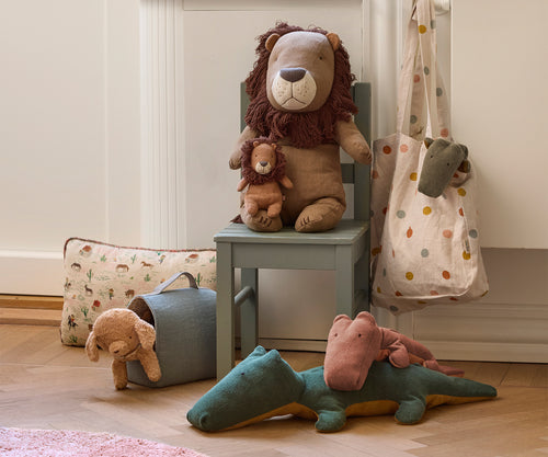 Accessoires pour chiots, Transporteur - Bleu