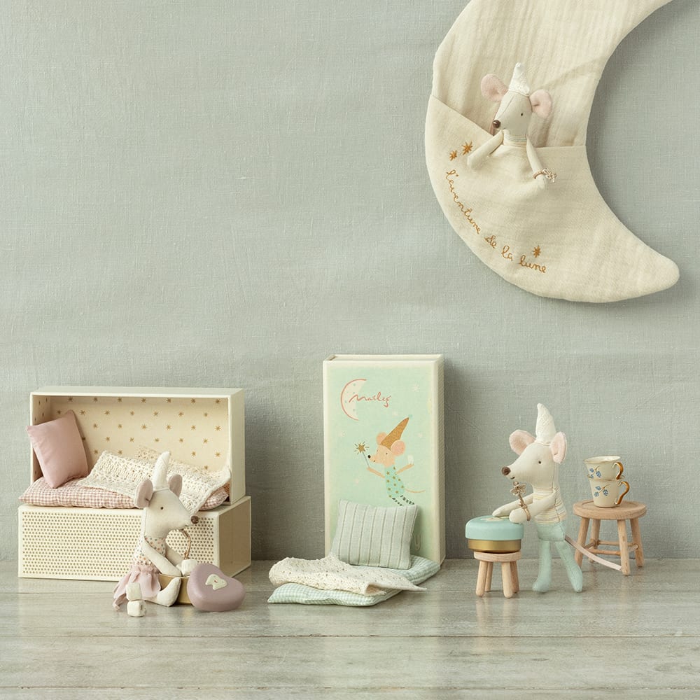 Mouse Tooth Fairy, Little Brother in a Matchbox