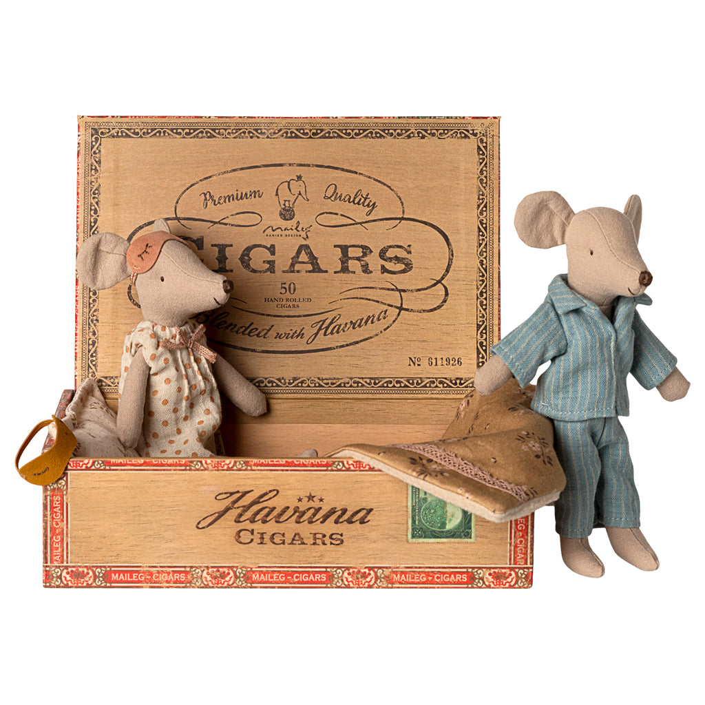 Mom and Dad Mouse in the Cigar Box