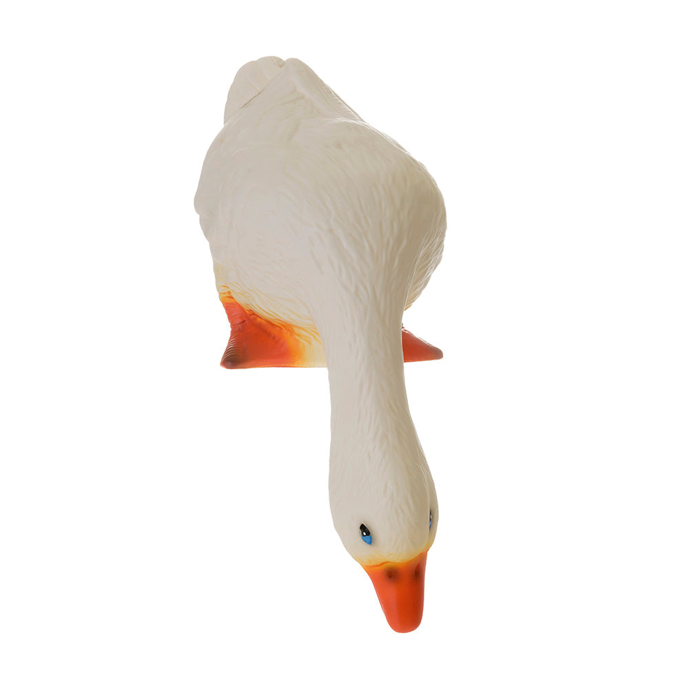 Duck looking down night light