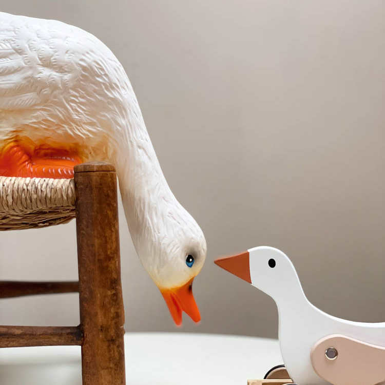 Duck looking down night light