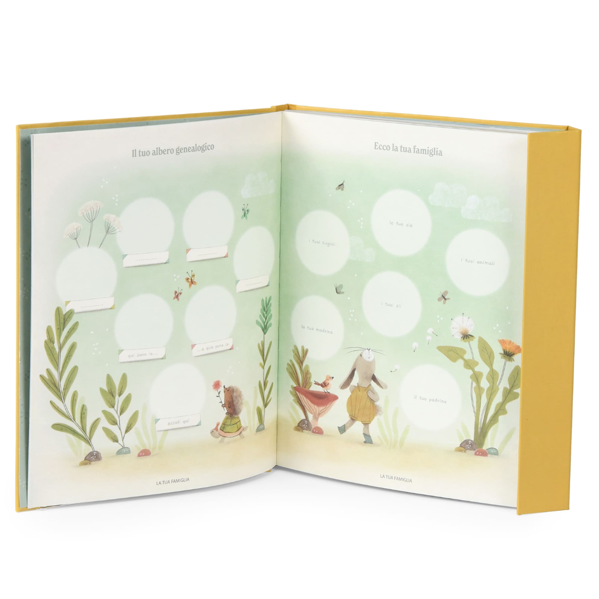 Libro nascita in Italiano (80 pagine) Trois petits lapins