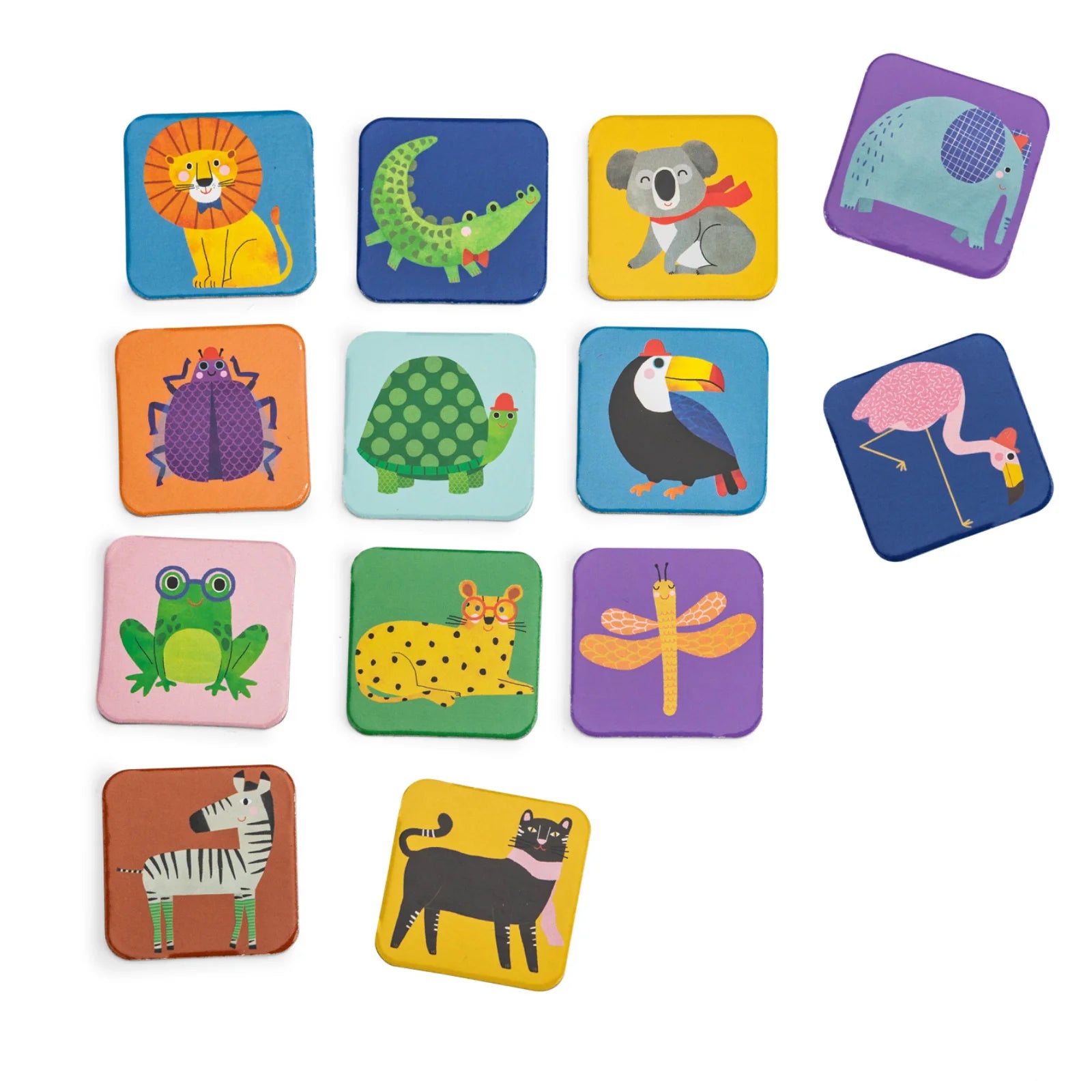 Memo degli animali, Toupitis