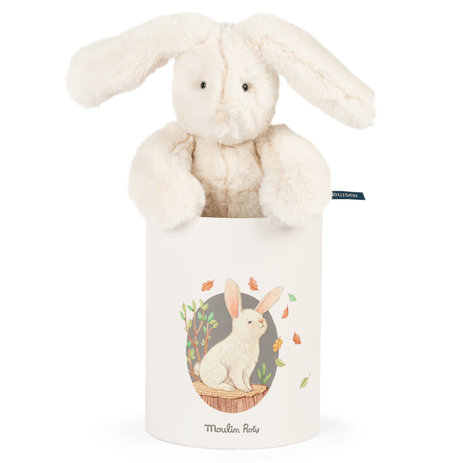Pupazzo in scatola regalo, Coniglietto Louison