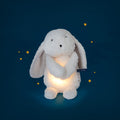 Glowing Rabbit Plush