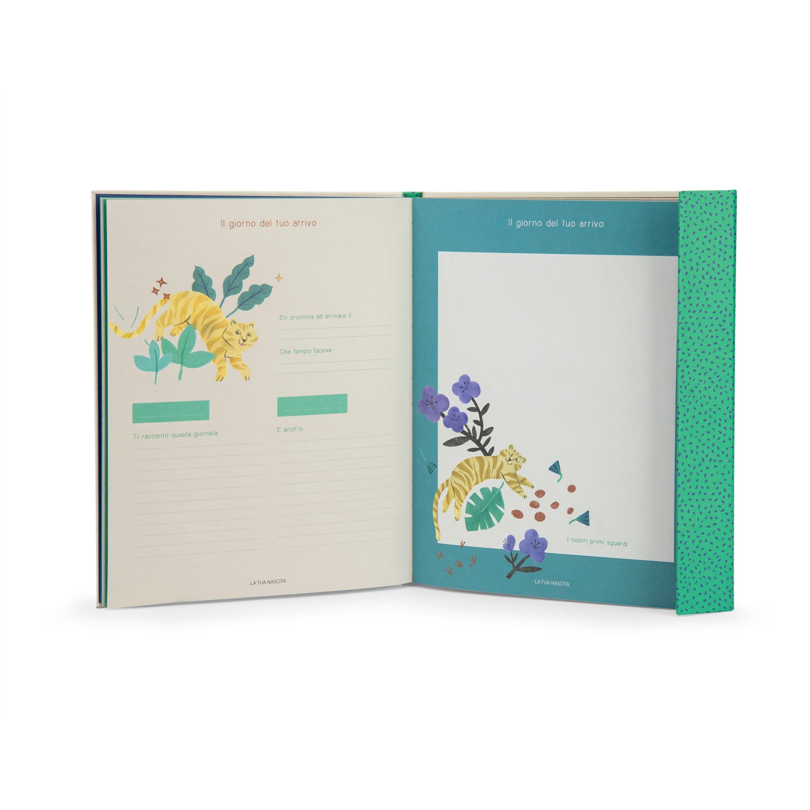 Birth Book in Italian (80 pages) The Mawa Forest