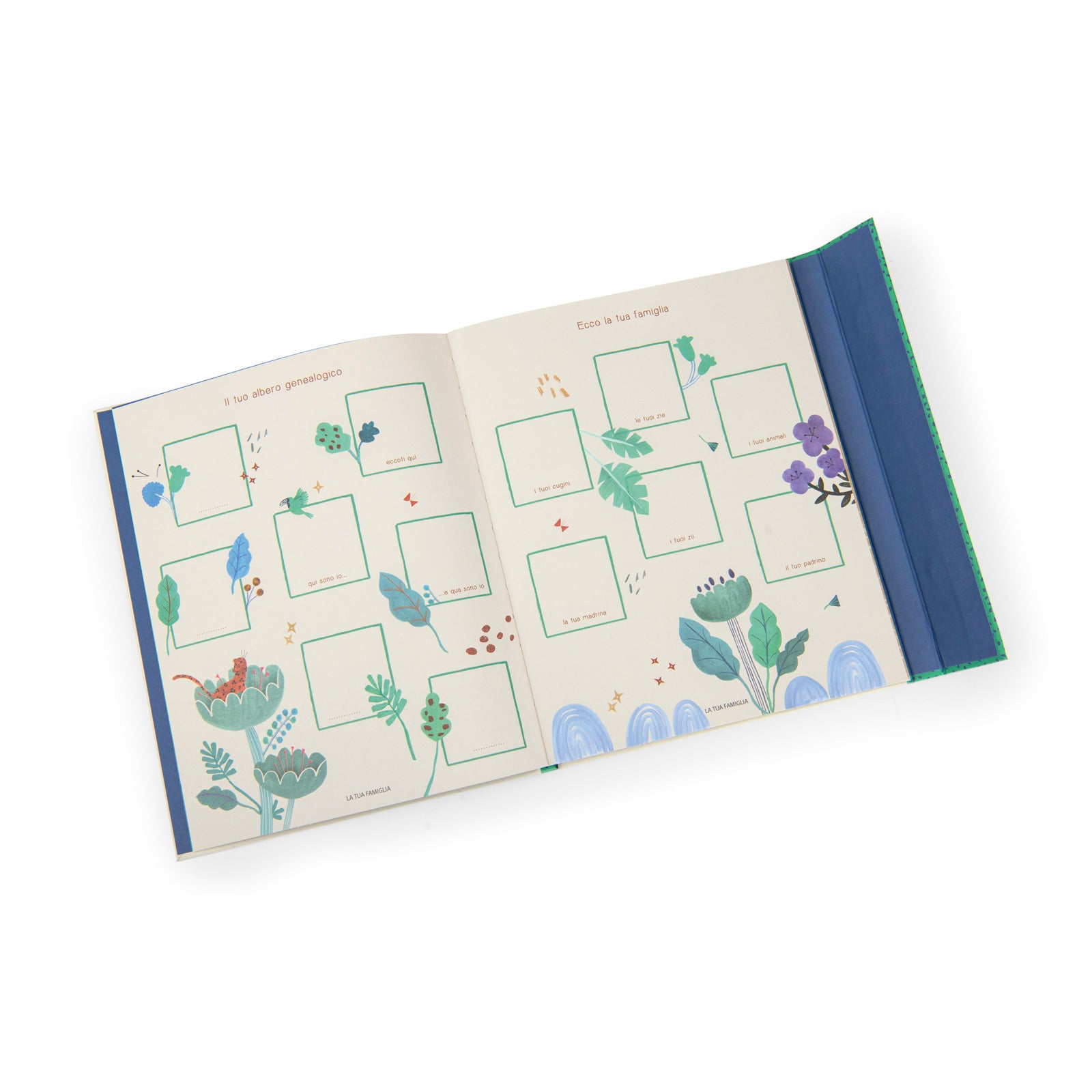 Birth Book in Italian (80 pages) The Mawa Forest