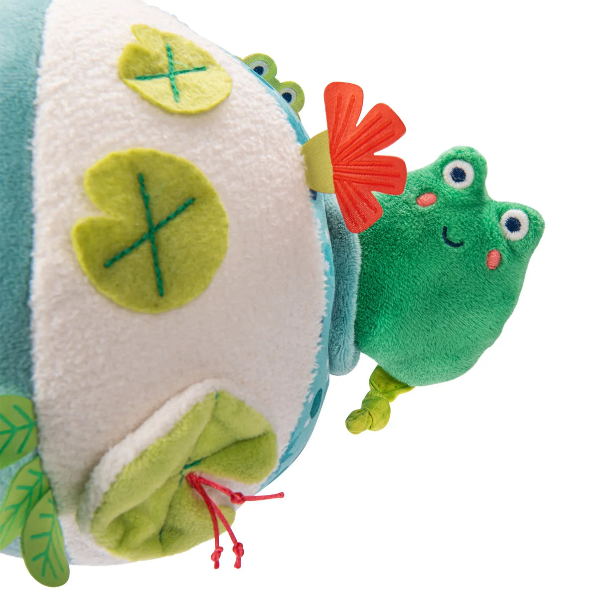 Activity Ball, La mare aux grenouilles