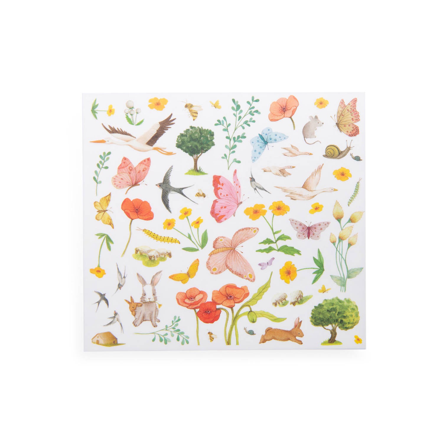 Transfers decals Les Rosalies