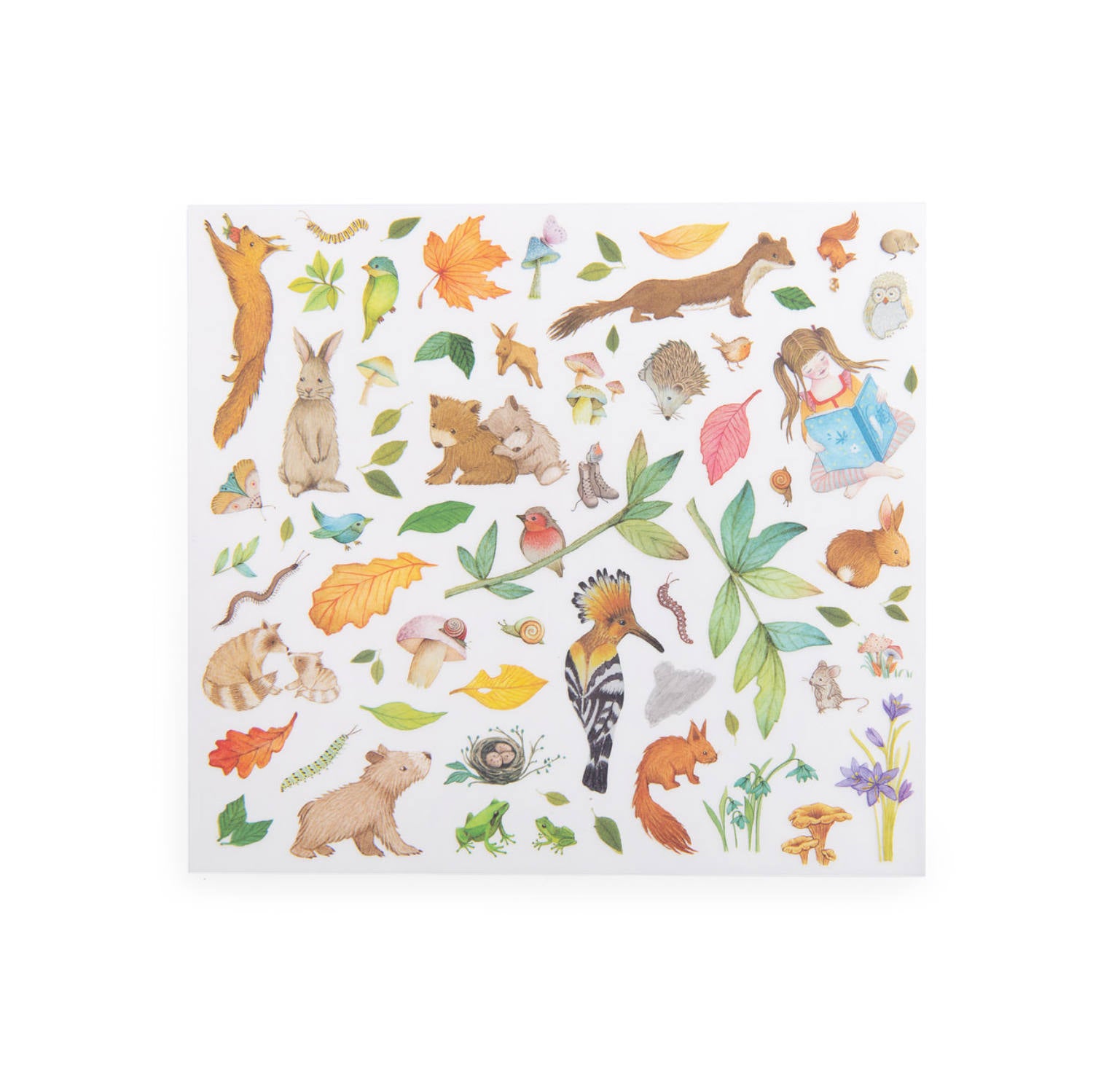 Transfers decals Les Rosalies