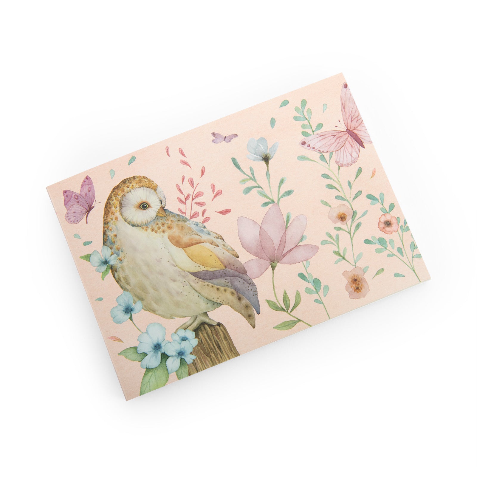 Drawing book, Les Rosalies