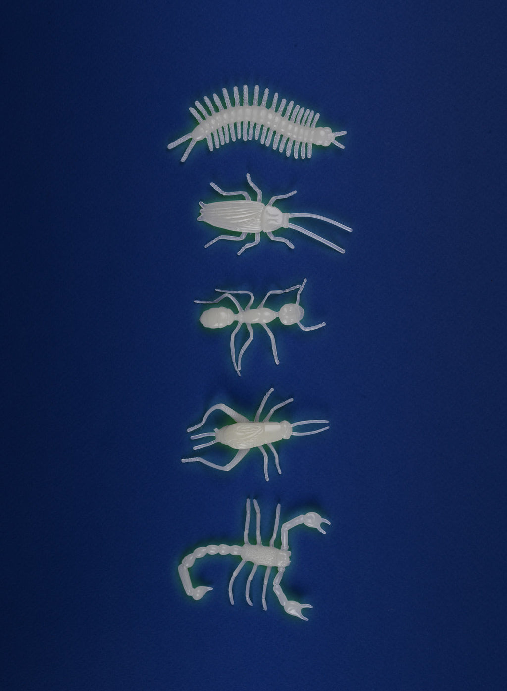 Glow in the dark insects, 5 pieces