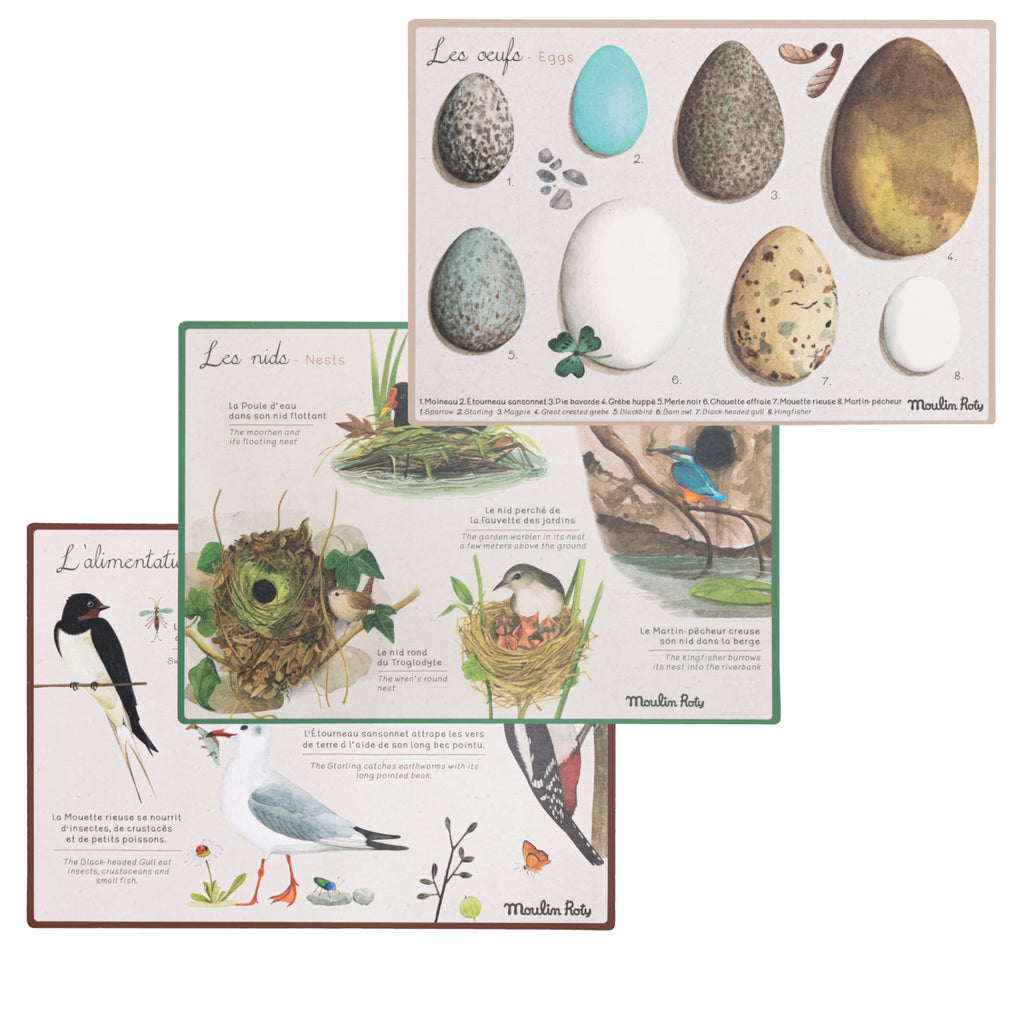 Bird Discovery Box (French/English)