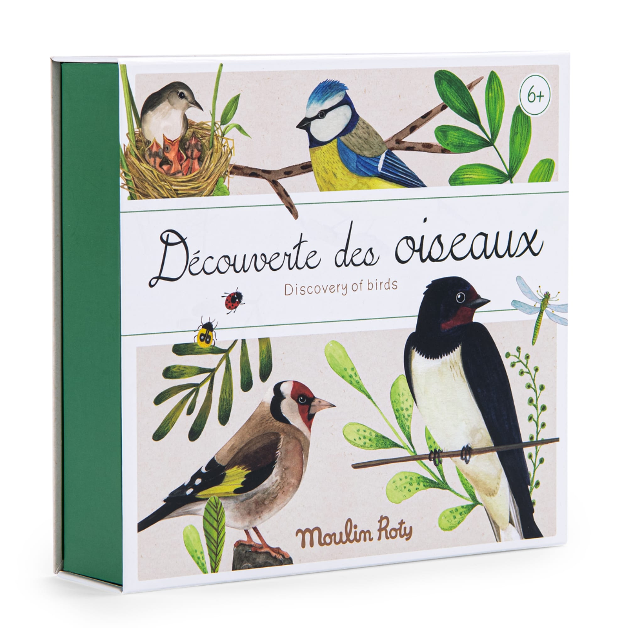 Bird Discovery Box (French/English)