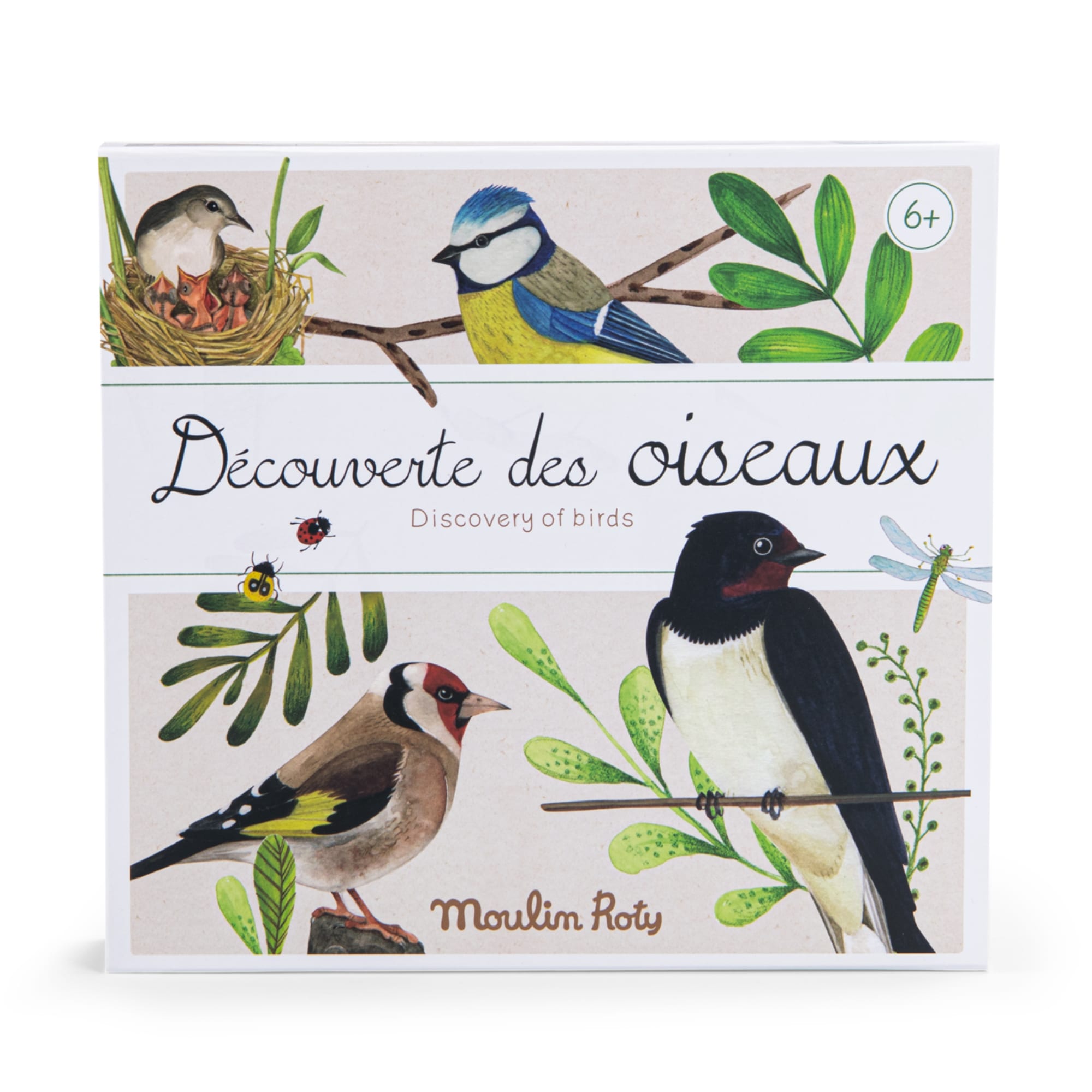 Bird Discovery Box (French/English)