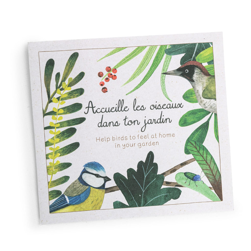 Bird Discovery Box (French/English)