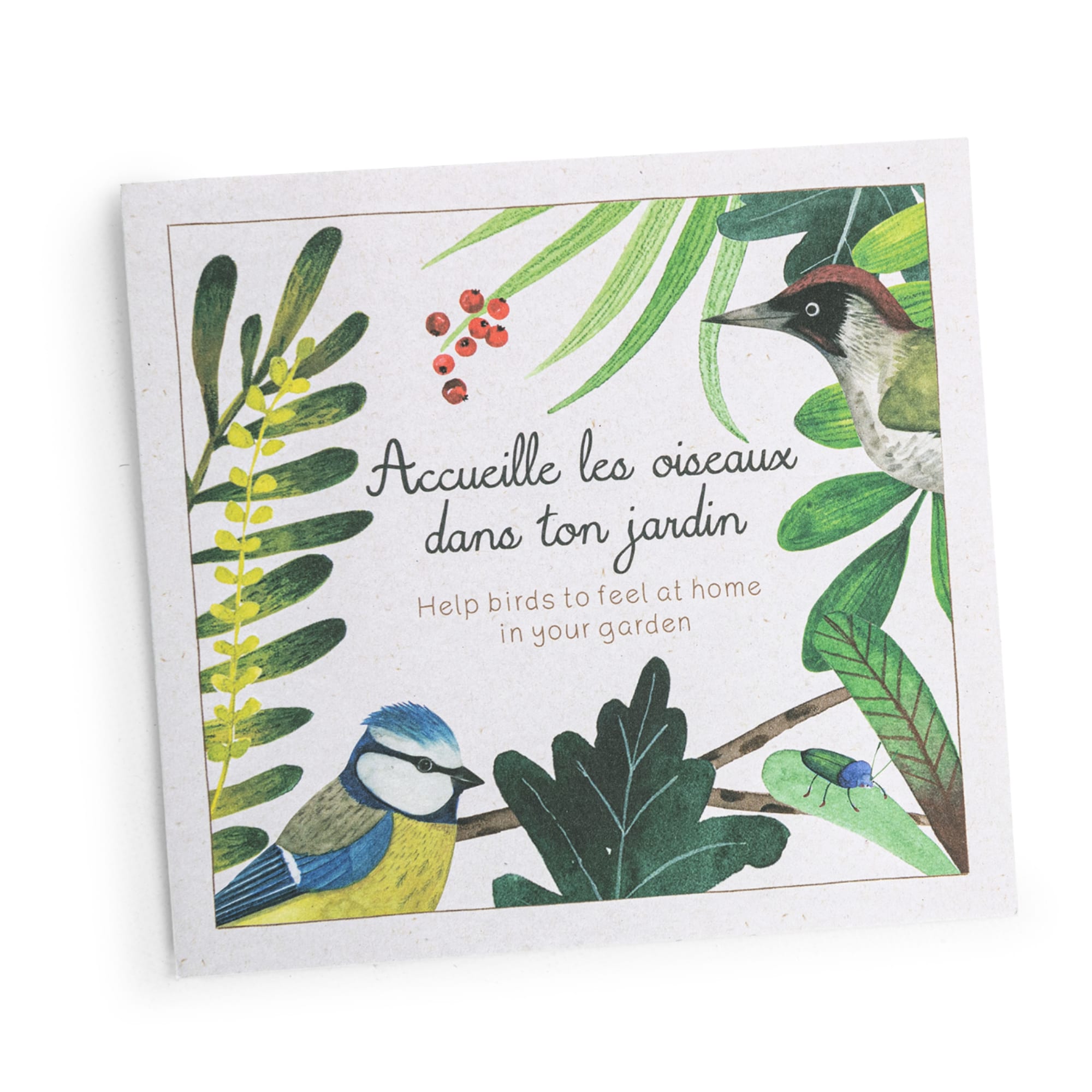 Bird Discovery Box (French/English)