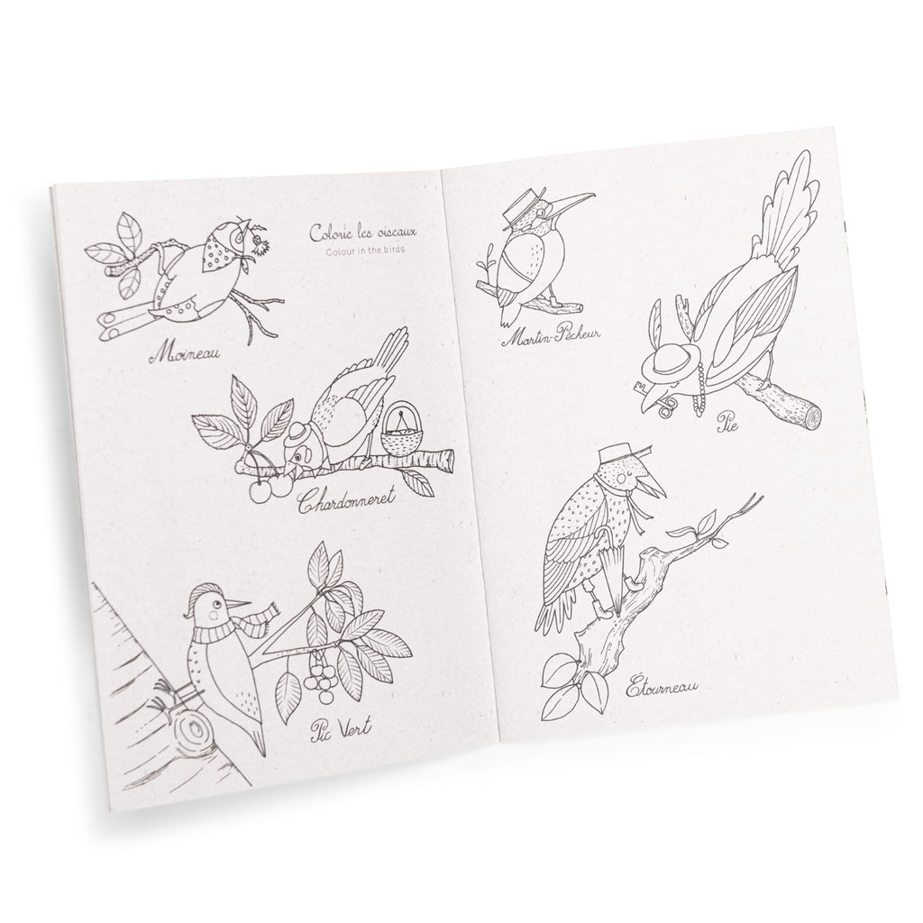 Bird Discovery Box (French/English)