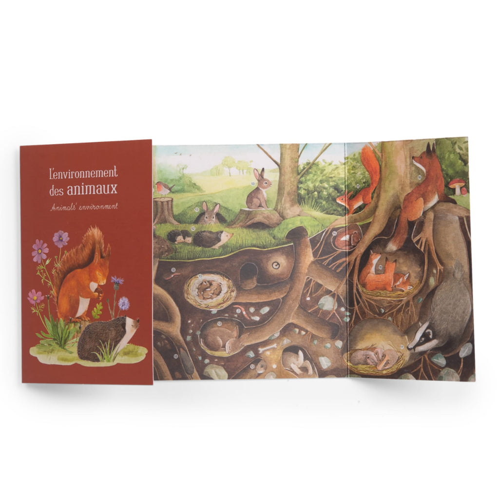 Cofanetto alla scoperta degli animali (francese/inglese)