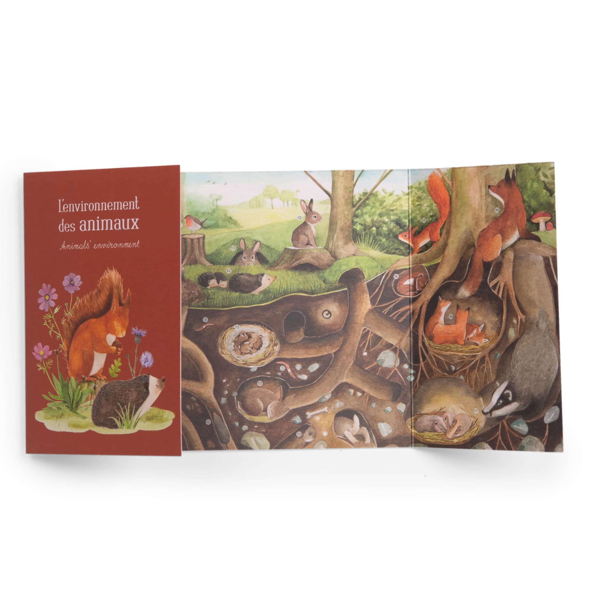 Cofanetto alla scoperta degli animali (francese/inglese)