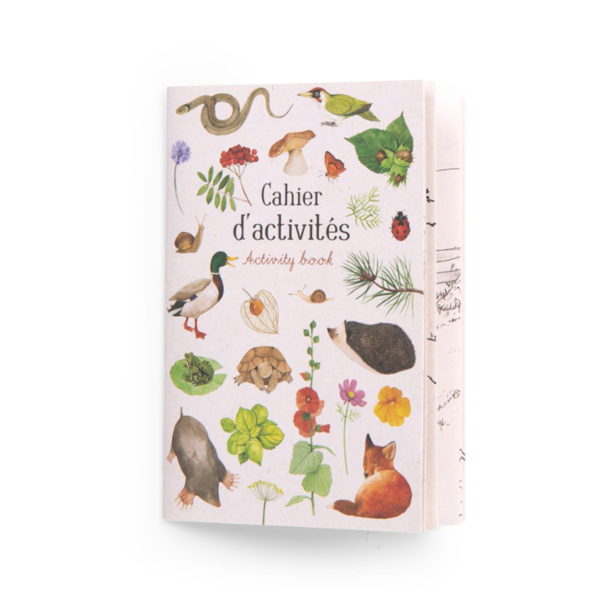 Animal Discovery Box (French/English)
