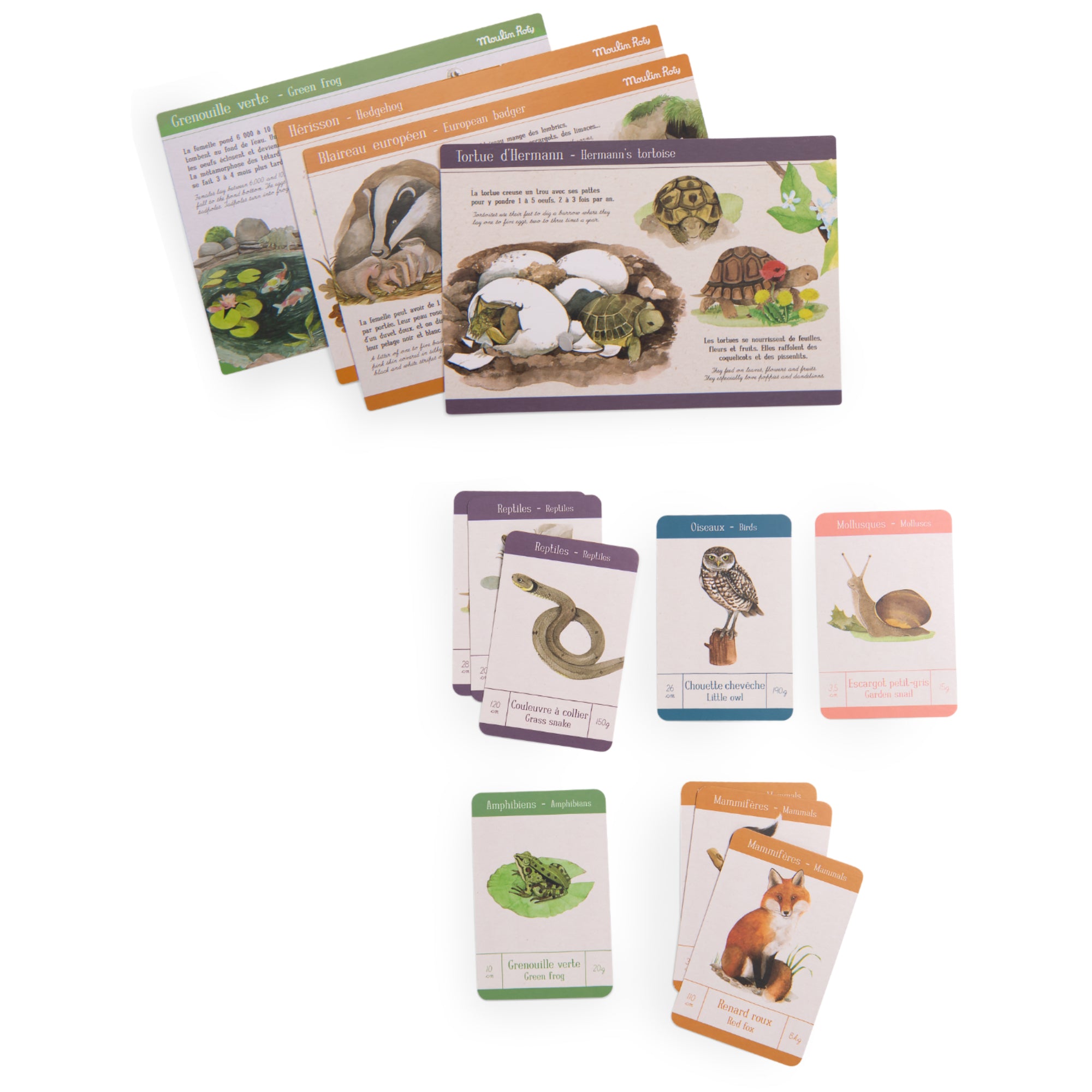 Animal Discovery Box (French/English)