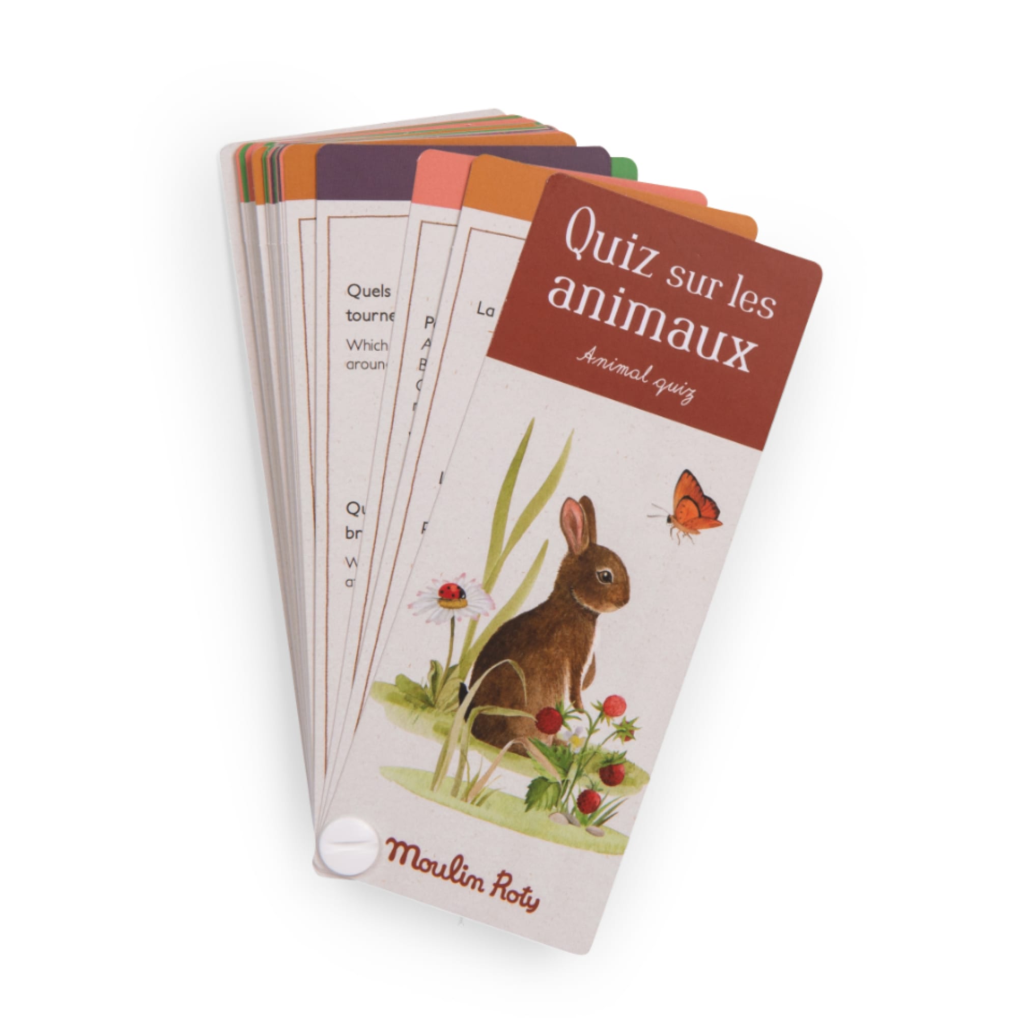 Animal Discovery Box (French/English)