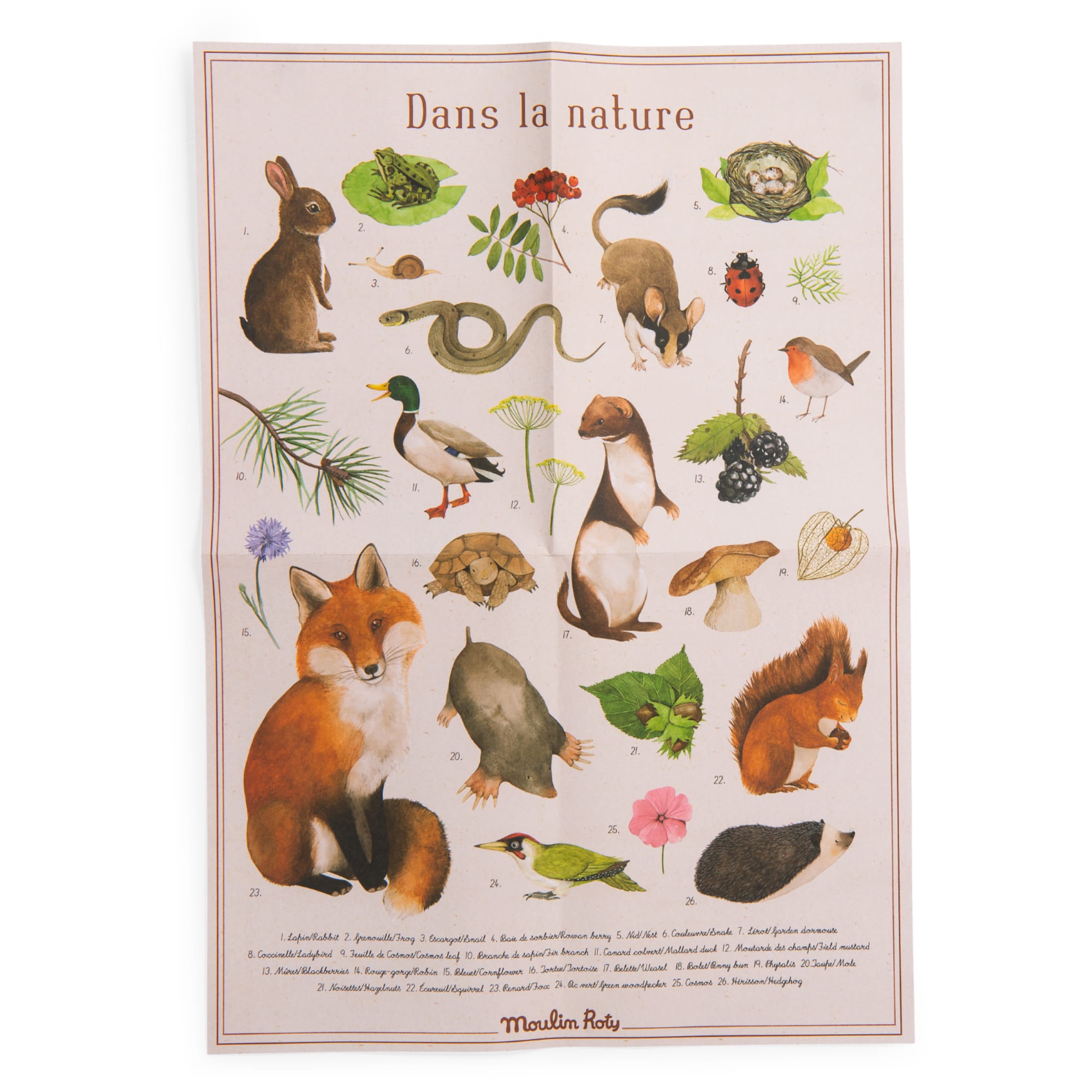 Cofanetto alla scoperta degli animali (francese/inglese)