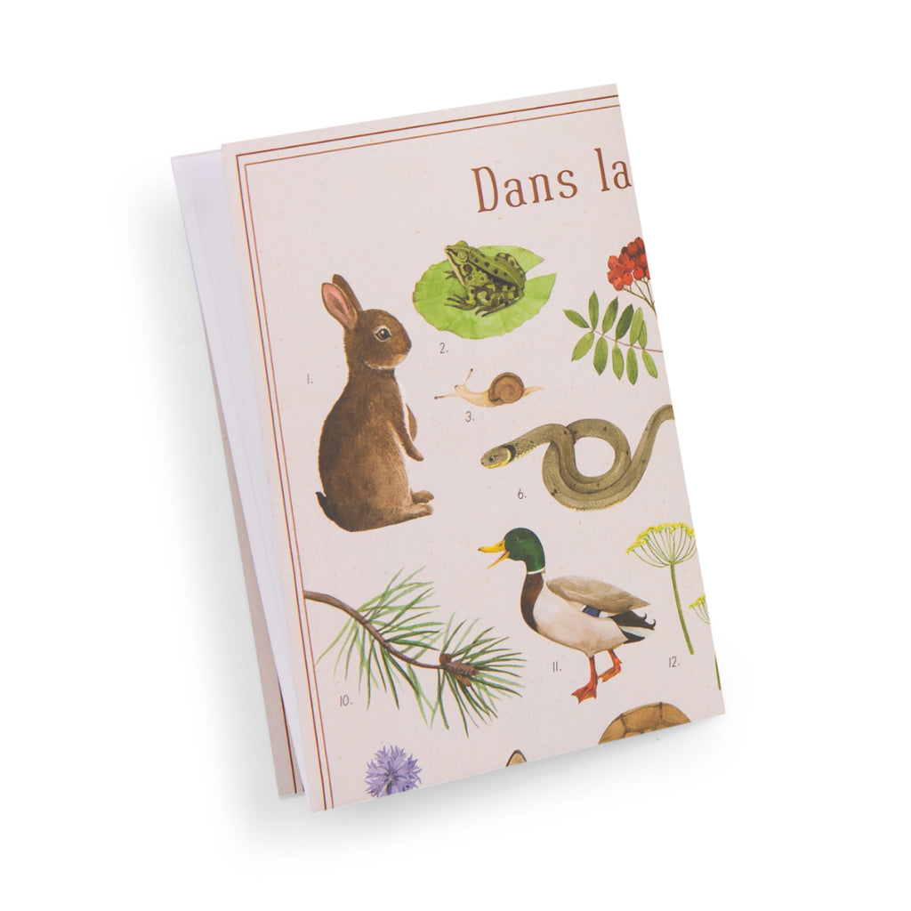 Cofanetto alla scoperta degli animali (francese/inglese)